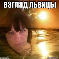 взгляд львицы 