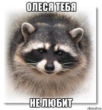 олеся тебя не любит