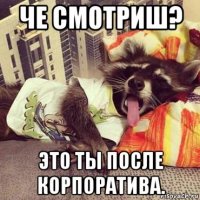 че смотриш? это ты после корпоратива.
