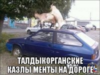  талдыкорганские казлы менты на дороге