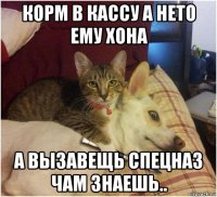корм в кассу а нето ему хона а вызавещь спецназ чам знаешь..