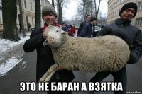  это не баран а взятка