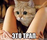  это трап