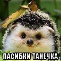  пасибки танечка