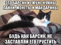 это барсик и ему не нужны лайки, монеты и мандарины будь как барсик, не заставляй его грустить