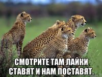  смотрите там лайки ставят и нам поставят.