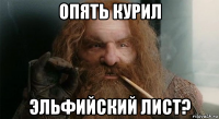 опять курил эльфийский лист?