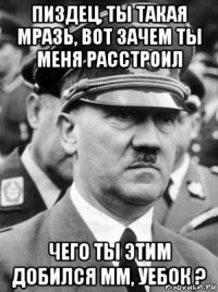 пиздец, ты такая мразь, вот зачем ты меня расстроил чего ты этим добился мм, уебок ?