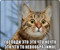  господи это это что нечто это что то невообразимое