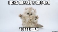 цска порвёт в клочья тоттенхем