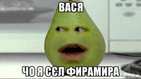 вася чо я сєл фирамира