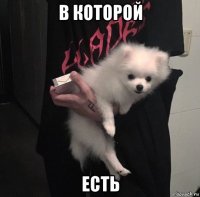 в которой есть