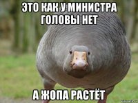 это как у министра головы нет а жопа растёт