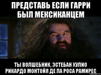 представь если гарри был мексиканцем ты волшебник, эстебан хулио рикардо монтойя де ла роса рамирес
