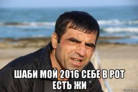 шаби мой 2016 себе в рот есть жи