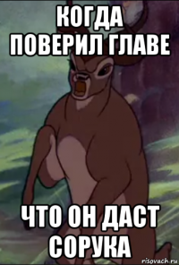 когда поверил главе что он даст сорука