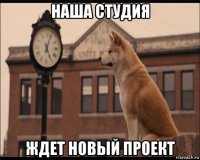 наша студия ждет новый проект