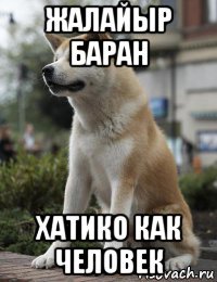 жалайыр баран хатико как человек