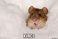  хуясе