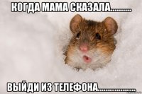 когда мама сказала.......... выйди из телефона....................