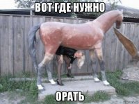 вот где нужно орать