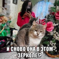  и сново она в этом зерколе!?