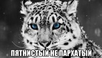 пятнистый не пархатый