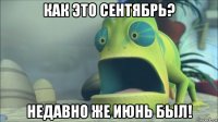 как это сентябрь? недавно же июнь был!