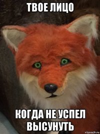 твое лицо когда не успел высунуть