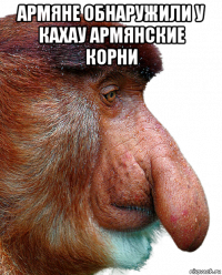 армяне обнаружили у кахау армянские корни 