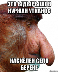 это ыдырышов нуржан утканос каскелен село береке