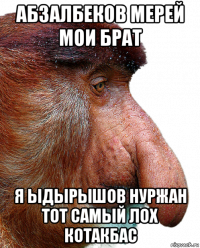 абзалбеков мерей мои брат я ыдырышов нуржан тот самый лох котакбас
