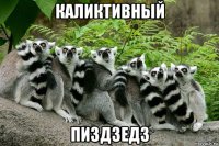 каликтивный пиздзедз