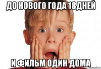 до нового года 18дней и фильм один дома
