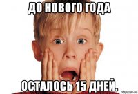 до нового года осталось 15 дней.