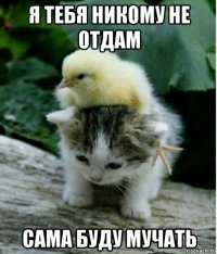 я тебя никому не отдам сама буду мучать