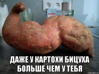  даже у картохи бицуха больше чем у тебя