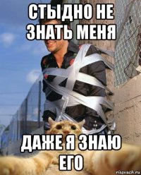 стыдно не знать меня даже я знаю его