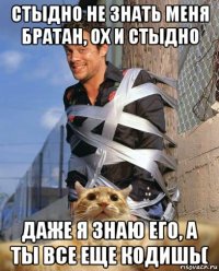 стыдно не знать меня братан, ох и стыдно даже я знаю его, а ты все еще кодишь(
