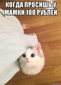 когда просишь у мамки 100 рублей 