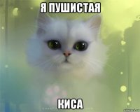 я пушистая киса