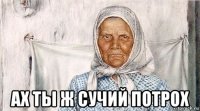  ах ты ж сучий потрох