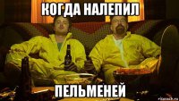 когда налепил пельменей