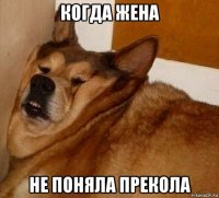 когда жена не поняла прекола