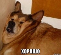  хорошо