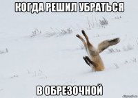 когда решил убраться в обрезочной