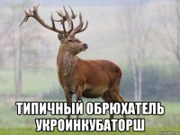  типичный обрюхатель укроинкубаторш