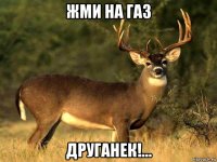 жми на газ друганек!...