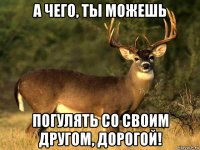 а чего, ты можешь погулять со своим другом, дорогой!