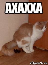 ахахха 